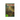 Rogue Moon: Algis Budrys *SIGNED*